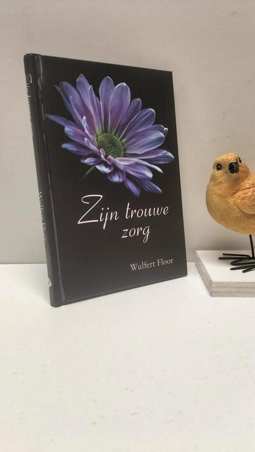 Floor, Wulfert; Zijn trouwe zorg, Boeken, Godsdienst en Theologie, Gelezen, Christendom | Protestants, Ophalen of Verzenden