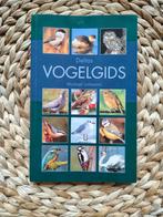 Michael Lohmann - Deltas vogelgids, Boeken, Ophalen of Verzenden, Zo goed als nieuw, Vogels