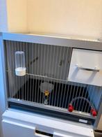 Zo goed als  nieuw Broedkooi voor kleine kromsnavels, Dieren en Toebehoren, Vogels | Hokken en Kooien, Ophalen of Verzenden, Zo goed als nieuw