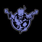 Thunderdome 2025 Ticket te Koop!, Tickets en Kaartjes, Concerten | Dance, Eén persoon