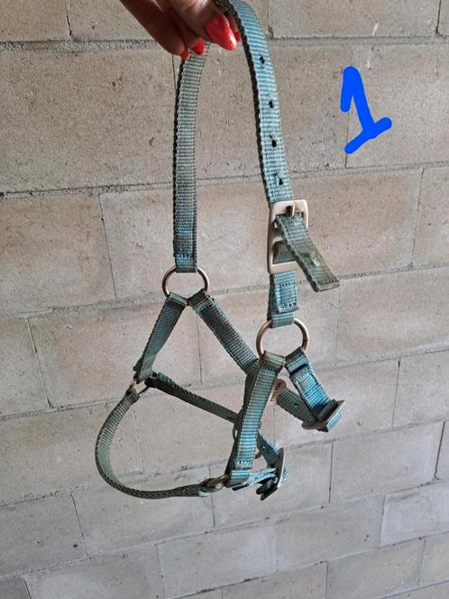 Hoofdstel, veulen halsters en singels, Dieren en Toebehoren, Paarden en Pony's | Hoofdstellen en Tuigage, Gebruikt, Ophalen of Verzenden