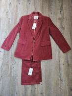 Bordeaux rood pak (ribstof) Sissy Boy maat s, Kostuum of Pak, Nieuw, Sissy-Boy, Ophalen of Verzenden