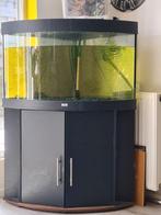 Aquarium met eheim filterpomp, Dieren en Toebehoren, Ophalen of Verzenden, Zo goed als nieuw, Leeg aquarium
