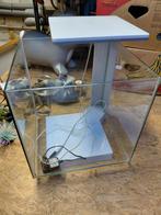 Superfish Aquarium 30L met LED verlichting 32x32x32 cm, Dieren en Toebehoren, Vissen | Aquaria en Toebehoren, Ophalen, Zo goed als nieuw