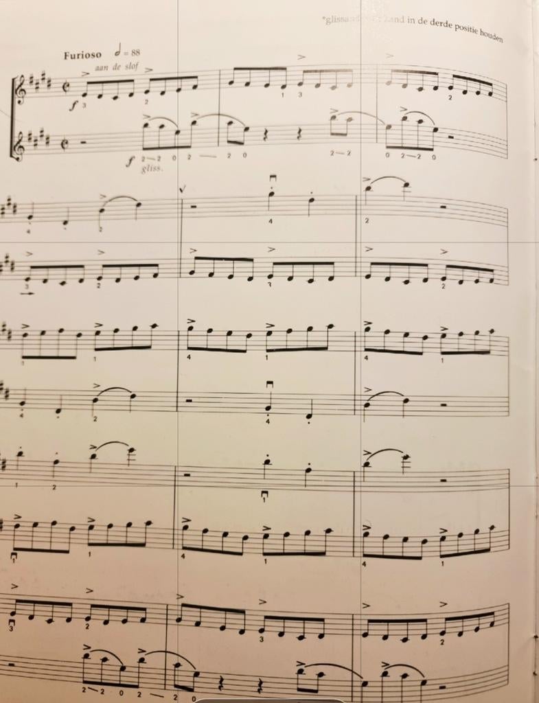 Het Positiespel - Viool Voordrachtstukken voor 2 violen, Gebruikt, Klassiek, Les of Cursus, Ophalen of Verzenden