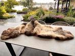 Echte vacht kleed, Huis en Inrichting, Woonaccessoires | Overige, Ophalen