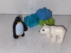 Duplo pooldieren met ijsbeer en pinguin, Gebruikt, Ophalen of Verzenden, Duplo, Duplo