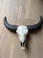 Skull voor aan muur, Ophalen, Zo goed als nieuw