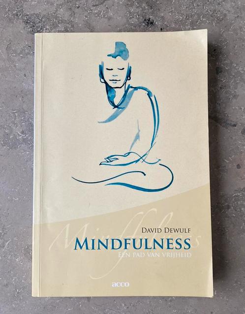 David Dewulf - Mindfulness, Boeken, Psychologie, Zo goed als nieuw, Overige onderwerpen, Ophalen of Verzenden