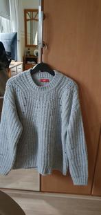 MOOIE TRUI MAAT L MERK ESPRIT., Kleding | Dames, Truien en Vesten, Ophalen of Verzenden, Zo goed als nieuw, Grijs