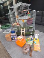 Parkieten kooi met toebehoren, Ophalen, Zo goed als nieuw, Metaal, Vogelkooi