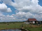 Weidegang met stalling aangeboden, Weidegang