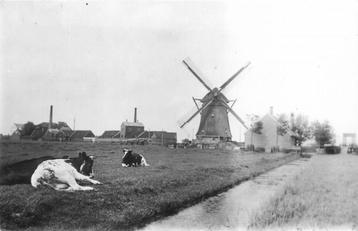 (378-308-023) Zaandijk Watermolen Het Leven beschikbaar voor biedingen