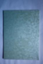 13 st.luxe kart.A4 310gr.mintgroen, Ophalen of Verzenden, Nieuw, Overige thema's, Knipvel