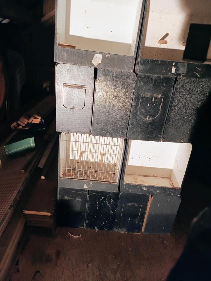 TT kooien, Dieren en Toebehoren, Vogels | Hokken en Kooien, Gebruikt, Overige typen, Hout, Ophalen