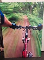 Poster op zachtboard - Fietsen in het bos, Ophalen
