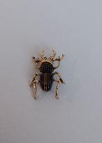 Kever broche, Overige materialen, Overige kleuren, Minder dan 4 cm, Nieuw