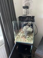 Startklaar 60L zoutwateraquarium, Dieren en Toebehoren, Ophalen, Zo goed als nieuw
