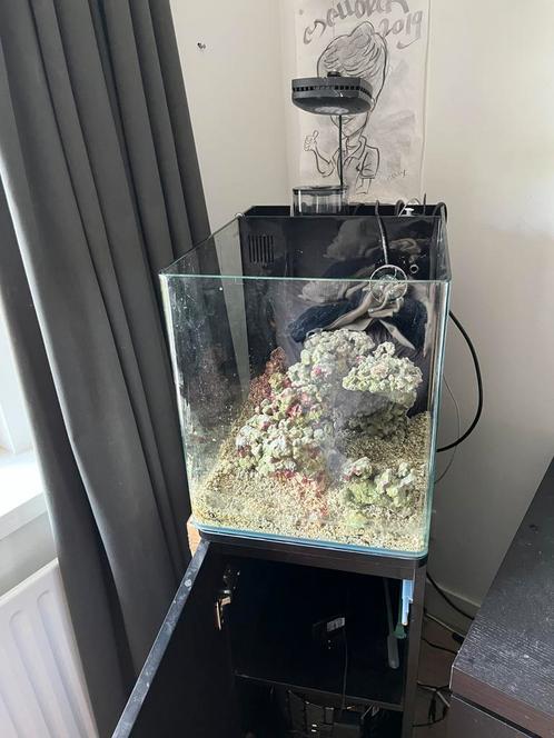 Startklaar 60L zoutwateraquarium, Dieren en Toebehoren, Vissen | Aquaria en Toebehoren, Zo goed als nieuw, Ophalen