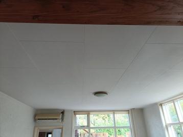 Plafondplaten - Agnes plafondplaat beschikbaar voor biedingen