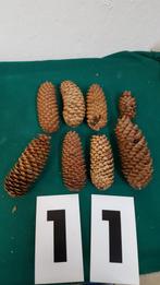 11 ] 8 x denne  appels, Diversen, Kerst, Ophalen of Verzenden
