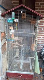 Voliere, Ophalen, Gebruikt, Hout, Volière