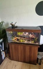 Complete juwel rio 180, Ophalen, Zo goed als nieuw, Verlichting of Verwarming