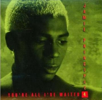 Jamie Principle – You're All I've Waited 4 CD Maxisingle '91 beschikbaar voor biedingen