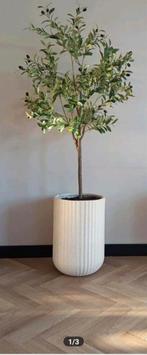 Mooie grote kunst olijfboom, Huis en Inrichting, Ophalen of Verzenden, Nieuw