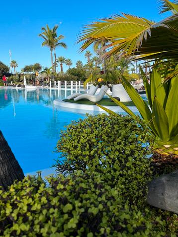 Top Locatie Tenerife Parque Santiago IV Luxe studio te huur 