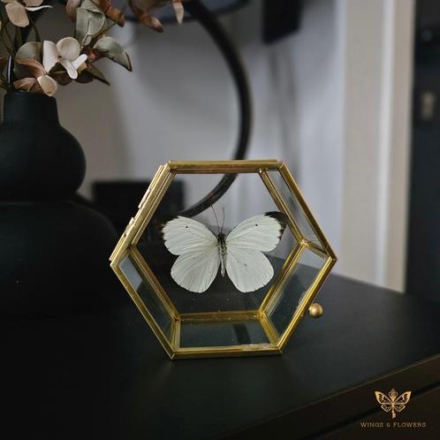 Vlinderstolp/Vlinders in stolp, Huis en Inrichting, Woonaccessoires | Stolpen, Nieuw, Ophalen of Verzenden