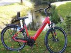 Pegasus Ravenna Framemaat 60 cm 500 WH accu, Overige merken, Pegasus, Info@pegasus-bikes.nl, Longericher Str 2
1688 jg  Keulen, DE
