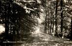Laan Kluizenaar in Vilsteren, Ophalen of Verzenden, 1920 tot 1940, Gelopen, Overijssel