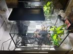 Aquarium superfish quadro 40 pro, Ophalen of Verzenden, Zo goed als nieuw, Verlichting of Verwarming