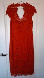 Ivy & oak rode kanten jurk, maat 40, Maat 38/40 (M), Verzenden, Ivy & oak, Cocktailjurk
