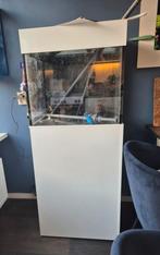 Zee aquarium, Dieren en Toebehoren, Ophalen, Gebruikt, Leeg aquarium