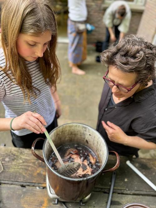 verven met natuurlijke grondstoffen - textiel - eco, Hobby en Vrije tijd, Knutselen, Nieuw, Ophalen