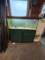 Aquarium 120 cm breed, Dieren en Toebehoren, Ophalen, Zo goed als nieuw, Leeg aquarium