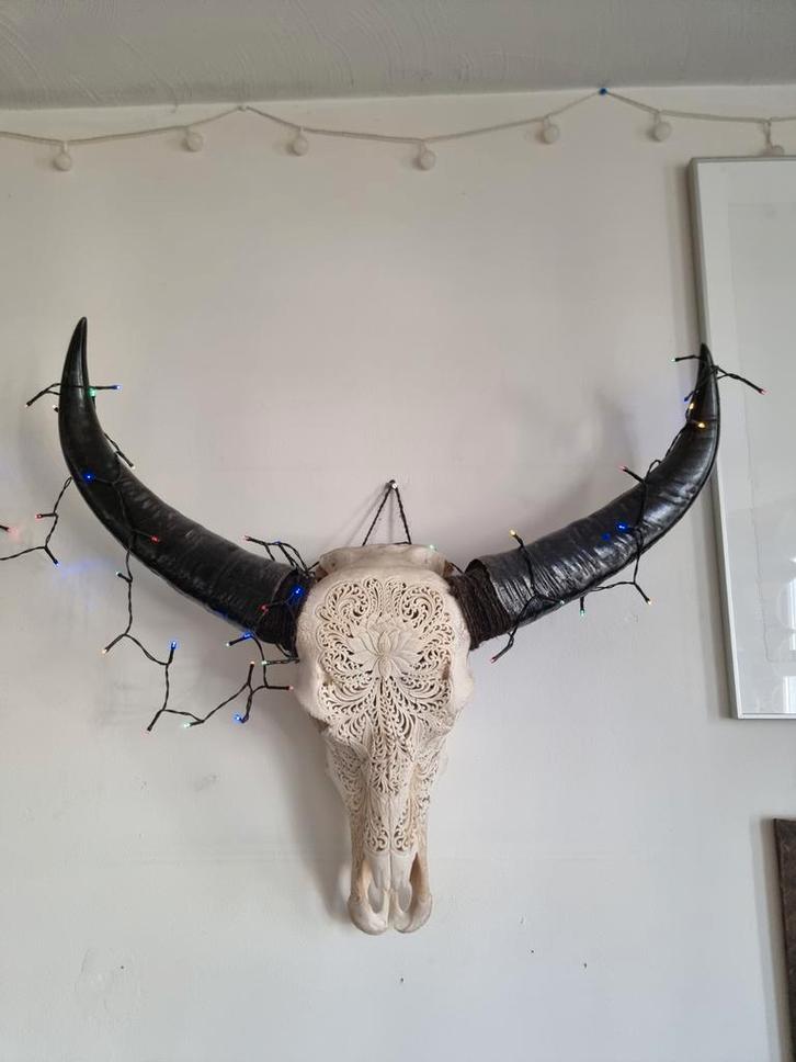 Decoratieve Buffel Schedel, Huis en Inrichting, Woonaccessoires | Wanddecoraties, Zo goed als nieuw, Ophalen