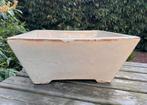 Bonsai schaal XL crème geglazuurd aardewerk 45,5x45x19, Tuin en Terras, Ophalen, Vierkant, Zo goed als nieuw, Minder dan 25 cm