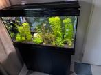 Aquarium aqualantis, Dieren en Toebehoren, Vissen | Aquaria en Toebehoren, Ophalen, Zo goed als nieuw, Leeg aquarium