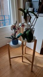 Ikea Satsumas planten standaard, Tuin, Minder dan 60 cm, Rond, Ophalen of Verzenden