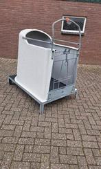 Iglo's kalverboxen Calfotel