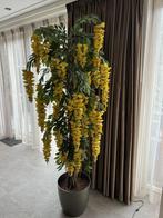 t.k kunstplant gouden regen, Huis en Inrichting, Ophalen, Gebruikt, Binnen