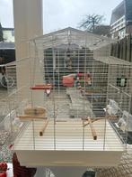 Vogelkooi groot met toebehorend, Dieren en Toebehoren, Ophalen of Verzenden, Zo goed als nieuw, Metaal, Vogelkooi