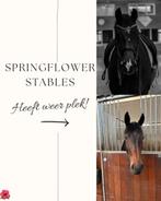 pensionstalling aangeboden regio Tilburg, Dieren en Toebehoren, Stalling en Weidegang, Stalling, 4 paarden of pony's of meer