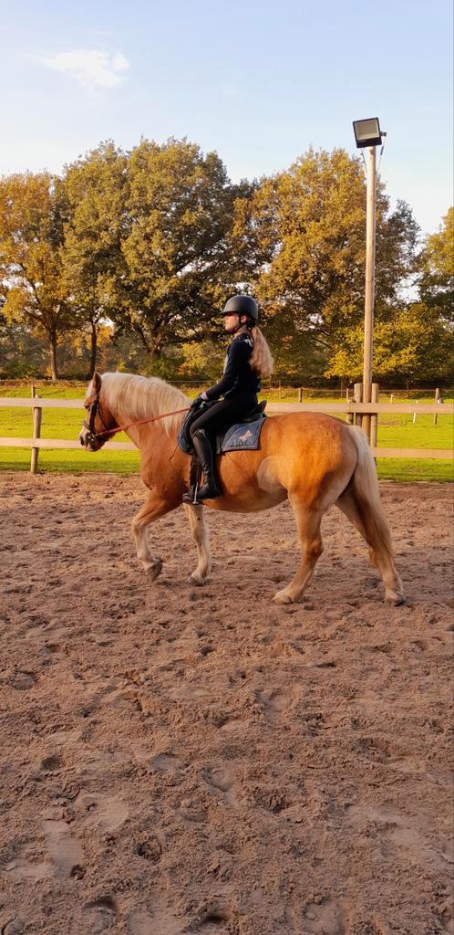 Serieuze bijrijder gezocht., Dieren en Toebehoren, Paarden en Pony's | Overige Paardenspullen, Nieuw, Ophalen