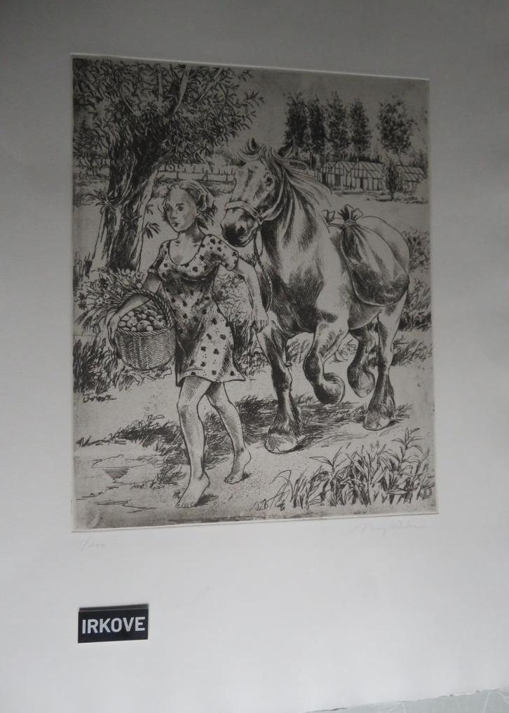 ETS MEISJE MET PAARD * Geen Lijst *, Antiek en Kunst, Kunst | Etsen en Gravures, Verzenden