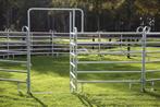 Texas panelen, Vangkooi, Longeercirkel, Box, Paneel, Weidegang, Sales@veldomheiningen.nl, Schaijk, 4 paarden of pony's of meer