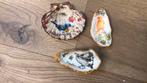 Verschillende mooie decoratieve schelpen, Ophalen of Verzenden, Zo goed als nieuw